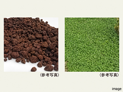 雑草対策イメージ｜ザ・パークハウス上原